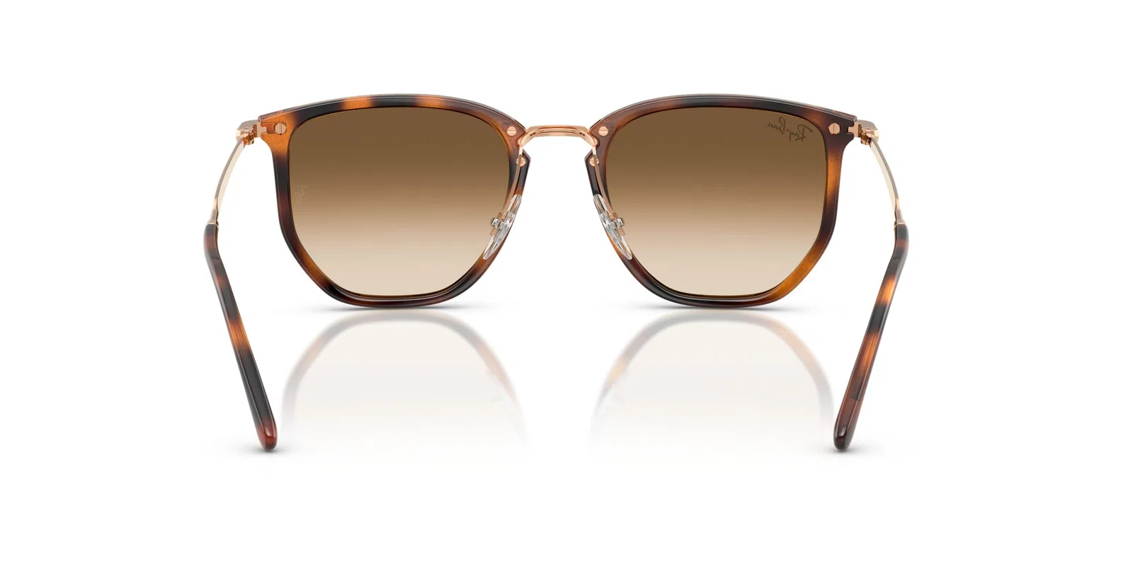 Ray-Ban 4451 Sunglasses - view 16